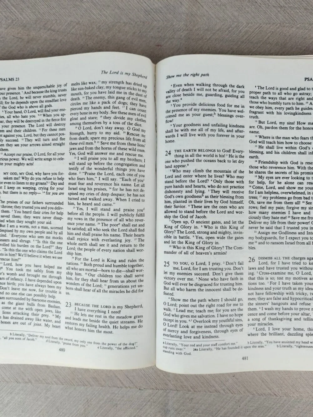 The Way The Living Bible Paperback 1976 Seventeenth Printing Illustrated